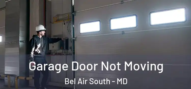  Garage Door Not Moving Bel Air South - MD